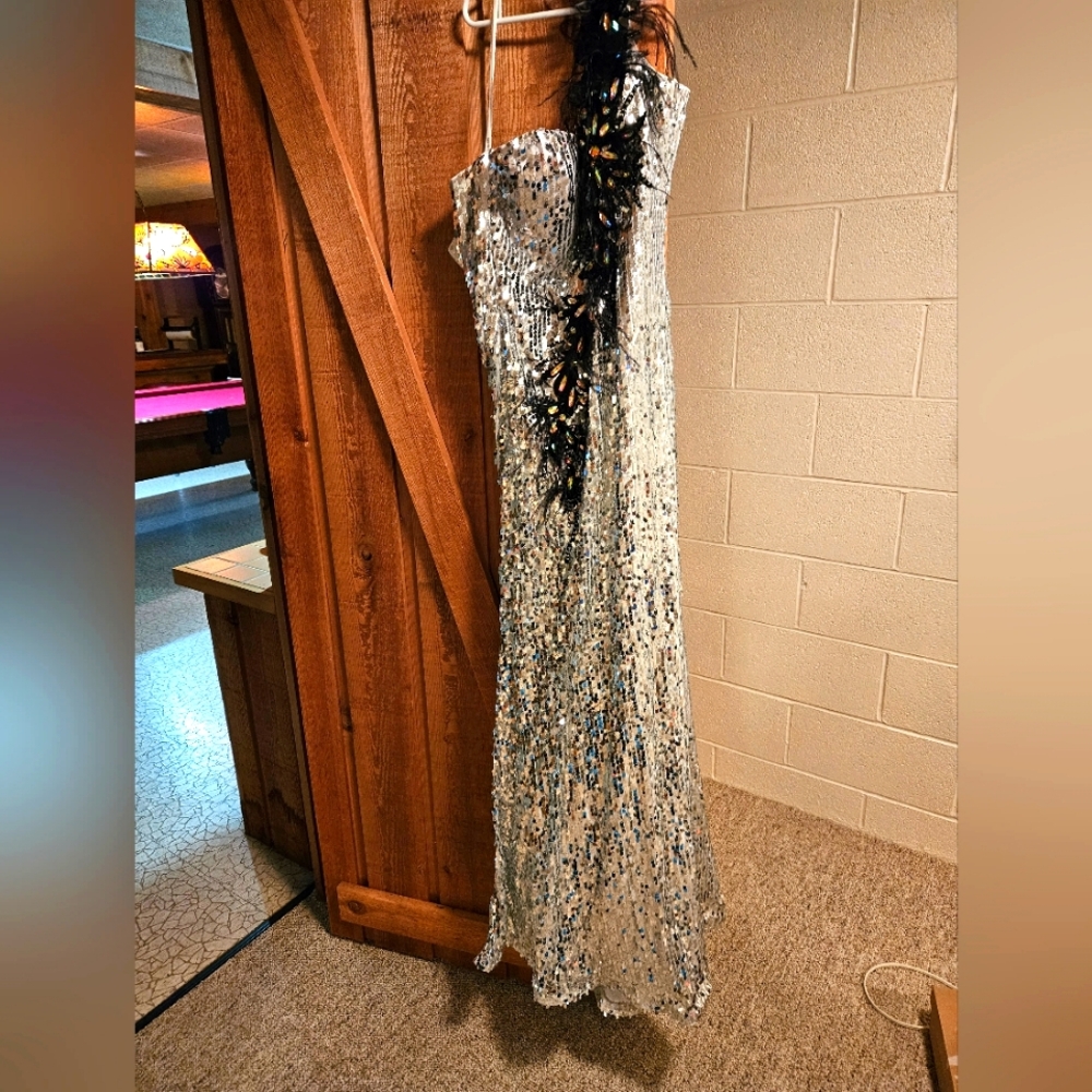 Prom Silver Sequin Gown with Feather Detail.  Prom Perfect Dress